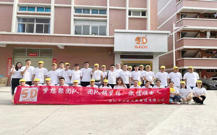 “夢想聚團隊，團隊鑄夢想”順電2021年旅游圓滿結束